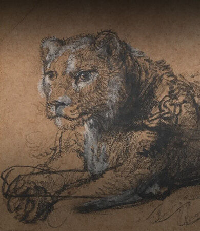 Historic Rembrandt Lion Study to Raise Funds for Big Cat Protection