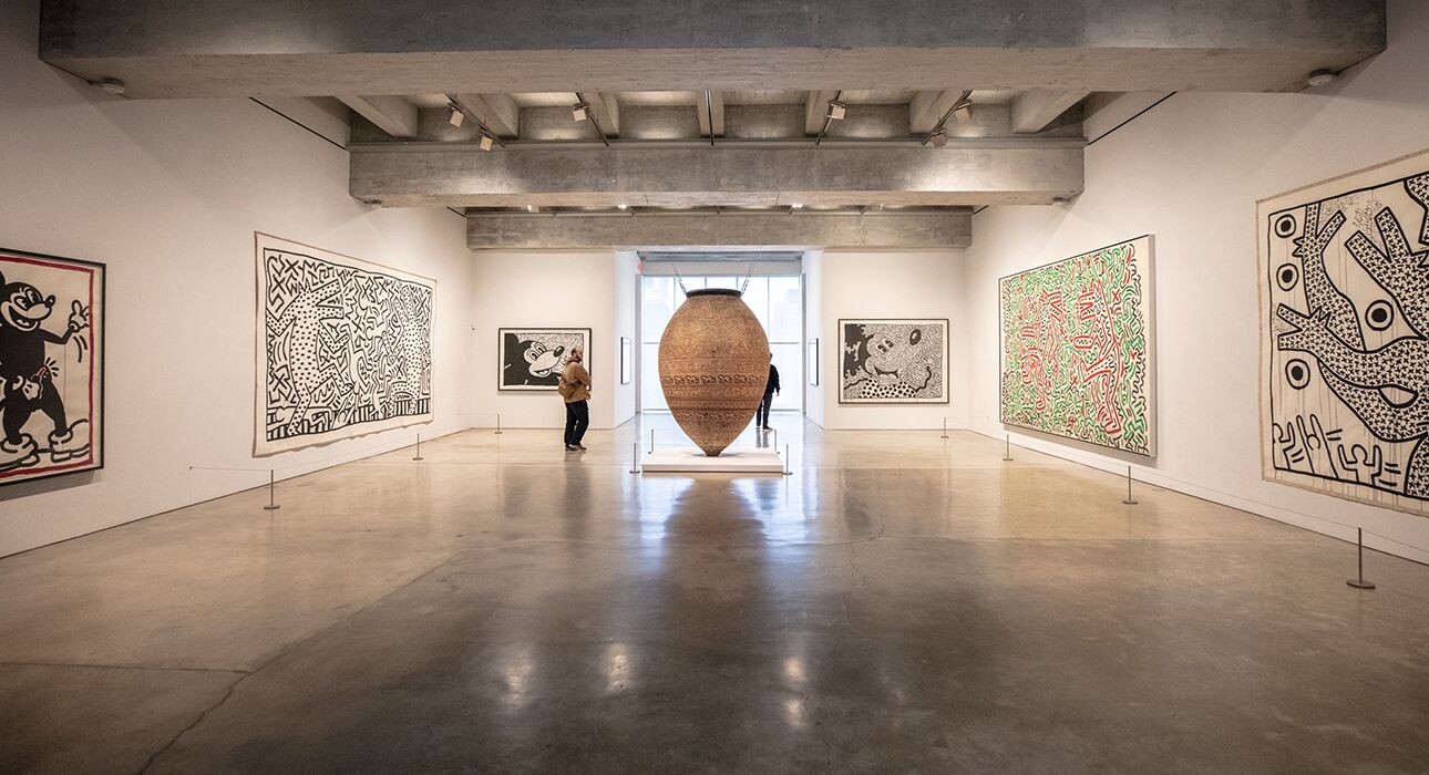 Haring : The Formative Years of a Visual Provocateur