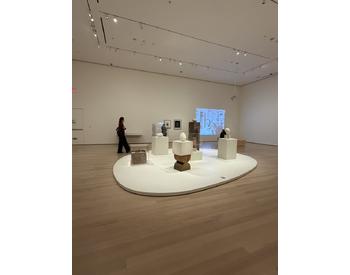 CONSTANTIN BRANCUSI (French, born Romania. 1876–1957), Various Works