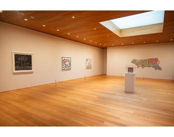 The Brant Foundation Presents Keith Haring, 2026, All artworks © copyright © Keith Haring Foundation, Photo: Justin Muñoz
